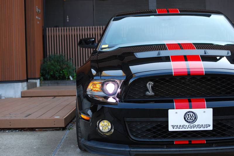 フォード マスタング ｼｪﾙﾋﾞｰGT500　ﾄﾚﾒｯｸ6速MT 2011年ﾓﾃﾞﾙ 黒×赤革専用ｽﾎﾟｰﾂｼｰﾄ ｾﾝﾀｰｽﾄﾗｲﾌﾟ ﾄﾗﾝｸｽﾎﾟｲﾗｰ 車高調 ﾅﾋﾞTV Bｶﾒﾗ WORK20AW bremboﾌﾞﾚｰｷ ｷｾﾉﾝ