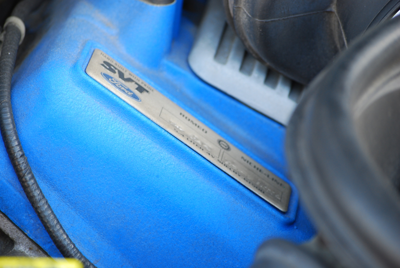 フォード マスタング ｼｪﾙﾋﾞｰGT500　ﾄﾚﾒｯｸ6速MT 2011年ﾓﾃﾞﾙ 黒×赤革専用ｽﾎﾟｰﾂｼｰﾄ ｾﾝﾀｰｽﾄﾗｲﾌﾟ ﾄﾗﾝｸｽﾎﾟｲﾗｰ 車高調 ﾅﾋﾞTV Bｶﾒﾗ WORK20AW bremboﾌﾞﾚｰｷ ｷｾﾉﾝ