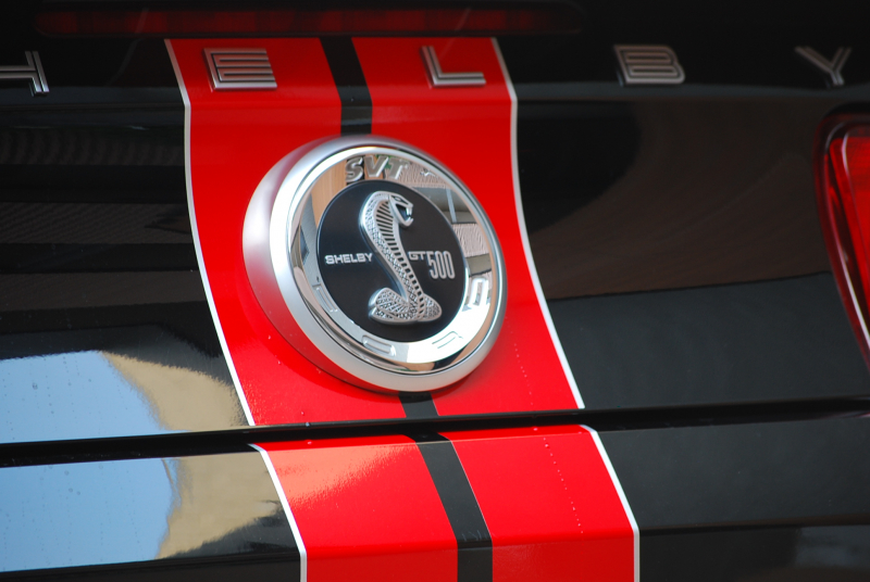 フォード マスタング ｼｪﾙﾋﾞｰGT500　ﾄﾚﾒｯｸ6速MT 2011年ﾓﾃﾞﾙ 黒×赤革専用ｽﾎﾟｰﾂｼｰﾄ ｾﾝﾀｰｽﾄﾗｲﾌﾟ ﾄﾗﾝｸｽﾎﾟｲﾗｰ 車高調 ﾅﾋﾞTV Bｶﾒﾗ WORK20AW bremboﾌﾞﾚｰｷ ｷｾﾉﾝ