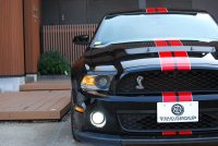 フォード マスタング ｼｪﾙﾋﾞｰGT500　ﾄﾚﾒｯｸ6速MT 2011年ﾓﾃﾞﾙ 黒×赤革専用ｽﾎﾟｰﾂｼｰﾄ ｾﾝﾀｰｽﾄﾗｲﾌﾟ ﾄﾗﾝｸｽﾎﾟｲﾗｰ 車高調 ﾅﾋﾞTV Bｶﾒﾗ WORK20AW bremboﾌﾞﾚｰｷ ｷｾﾉﾝ