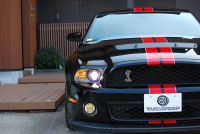 フォード マスタング ｼｪﾙﾋﾞｰGT500　ﾄﾚﾒｯｸ6速MT 2011年ﾓﾃﾞﾙ 黒×赤革専用ｽﾎﾟｰﾂｼｰﾄ ｾﾝﾀｰｽﾄﾗｲﾌﾟ ﾄﾗﾝｸｽﾎﾟｲﾗｰ 車高調 ﾅﾋﾞTV Bｶﾒﾗ WORK20AW bremboﾌﾞﾚｰｷ ｷｾﾉﾝ