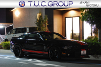 フォード マスタング ｼｪﾙﾋﾞｰGT500　ﾄﾚﾒｯｸ6速MT 2011年ﾓﾃﾞﾙ 黒×赤革専用ｽﾎﾟｰﾂｼｰﾄ ｾﾝﾀｰｽﾄﾗｲﾌﾟ ﾄﾗﾝｸｽﾎﾟｲﾗｰ 車高調 ﾅﾋﾞTV Bｶﾒﾗ WORK20AW bremboﾌﾞﾚｰｷ ｷｾﾉﾝ