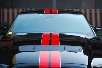 フォード マスタング ｼｪﾙﾋﾞｰGT500　ﾄﾚﾒｯｸ6速MT 2011年ﾓﾃﾞﾙ 黒×赤革専用ｽﾎﾟｰﾂｼｰﾄ ｾﾝﾀｰｽﾄﾗｲﾌﾟ ﾄﾗﾝｸｽﾎﾟｲﾗｰ 車高調 ﾅﾋﾞTV Bｶﾒﾗ WORK20AW bremboﾌﾞﾚｰｷ ｷｾﾉﾝ