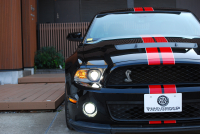 フォード マスタング ｼｪﾙﾋﾞｰGT500　ﾄﾚﾒｯｸ6速MT 2011年ﾓﾃﾞﾙ 黒×赤革専用ｽﾎﾟｰﾂｼｰﾄ ｾﾝﾀｰｽﾄﾗｲﾌﾟ ﾄﾗﾝｸｽﾎﾟｲﾗｰ 車高調 ﾅﾋﾞTV Bｶﾒﾗ WORK20AW bremboﾌﾞﾚｰｷ ｷｾﾉﾝ