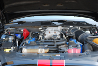 フォード マスタング ｼｪﾙﾋﾞｰGT500　ﾄﾚﾒｯｸ6速MT 2011年ﾓﾃﾞﾙ 黒×赤革専用ｽﾎﾟｰﾂｼｰﾄ ｾﾝﾀｰｽﾄﾗｲﾌﾟ ﾄﾗﾝｸｽﾎﾟｲﾗｰ 車高調 ﾅﾋﾞTV Bｶﾒﾗ WORK20AW bremboﾌﾞﾚｰｷ ｷｾﾉﾝ