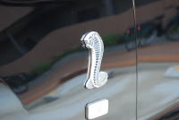 フォード マスタング ｼｪﾙﾋﾞｰGT500　ﾄﾚﾒｯｸ6速MT 2011年ﾓﾃﾞﾙ 黒×赤革専用ｽﾎﾟｰﾂｼｰﾄ ｾﾝﾀｰｽﾄﾗｲﾌﾟ ﾄﾗﾝｸｽﾎﾟｲﾗｰ 車高調 ﾅﾋﾞTV Bｶﾒﾗ WORK20AW bremboﾌﾞﾚｰｷ ｷｾﾉﾝ