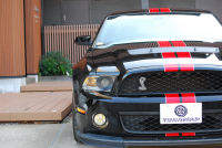 フォード マスタング ｼｪﾙﾋﾞｰGT500　ﾄﾚﾒｯｸ6速MT 2011年ﾓﾃﾞﾙ 黒×赤革専用ｽﾎﾟｰﾂｼｰﾄ ｾﾝﾀｰｽﾄﾗｲﾌﾟ ﾄﾗﾝｸｽﾎﾟｲﾗｰ 車高調 ﾅﾋﾞTV Bｶﾒﾗ WORK20AW bremboﾌﾞﾚｰｷ ｷｾﾉﾝ