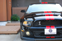 フォード マスタング ｼｪﾙﾋﾞｰGT500　ﾄﾚﾒｯｸ6速MT 2011年ﾓﾃﾞﾙ 黒×赤革専用ｽﾎﾟｰﾂｼｰﾄ ｾﾝﾀｰｽﾄﾗｲﾌﾟ ﾄﾗﾝｸｽﾎﾟｲﾗｰ 車高調 ﾅﾋﾞTV Bｶﾒﾗ WORK20AW bremboﾌﾞﾚｰｷ ｷｾﾉﾝ